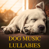 Perfect Music for Training Jittery, Restless Pets After Playtime (Loopable)