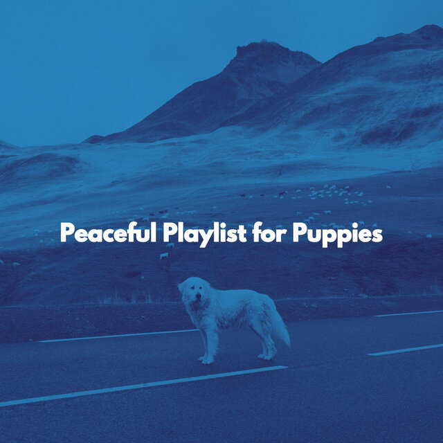 Peaceful Playlist for Puppies