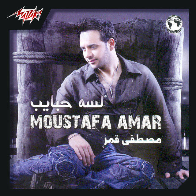 Lessa Habayeb