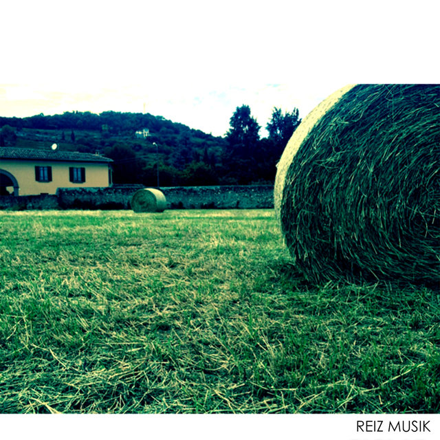Reiz Musik Selection Vol 4