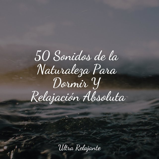 50 Sonidos de la Naturaleza Para Dormir Y Relajación Absoluta by Jazz ...