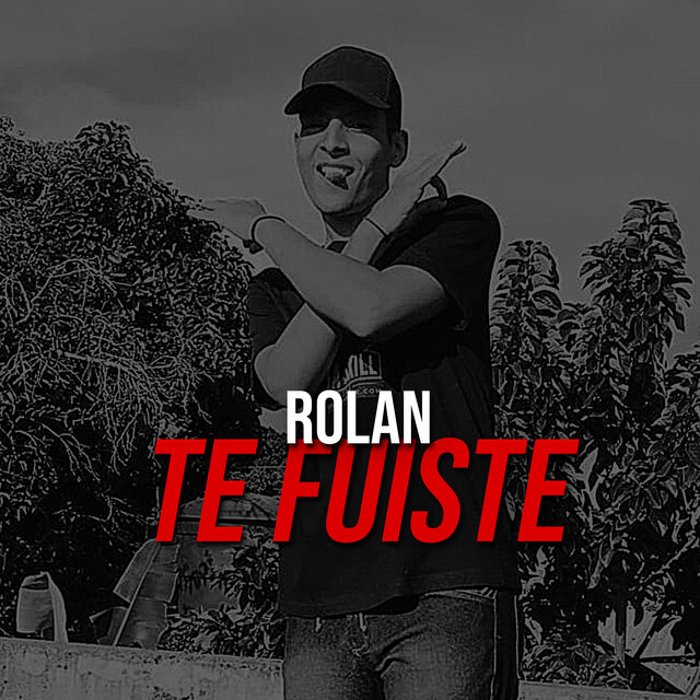 Te Fuiste