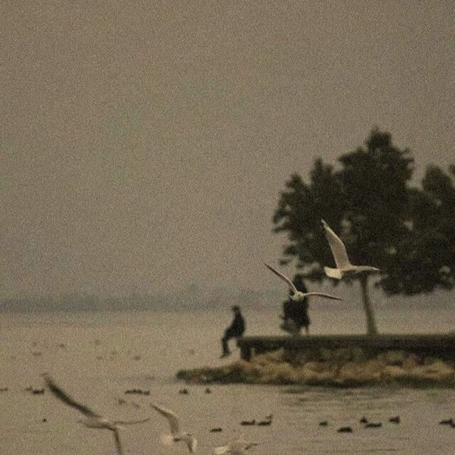 Calm Waters