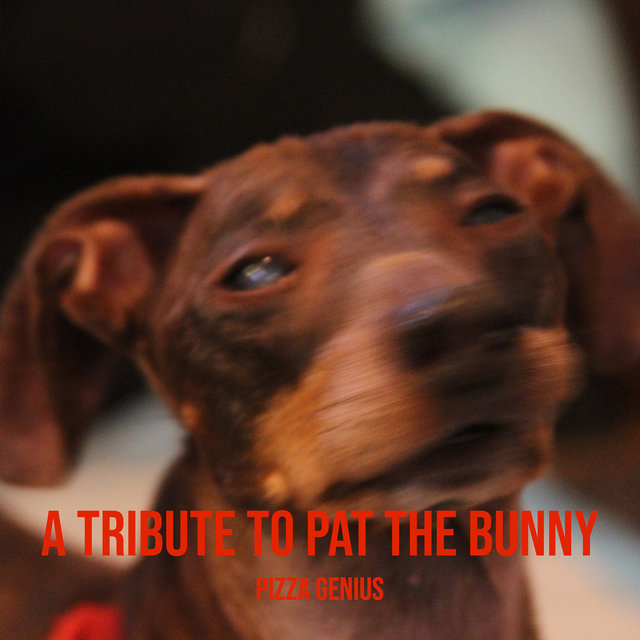 A Tribute to Pat the Bunny