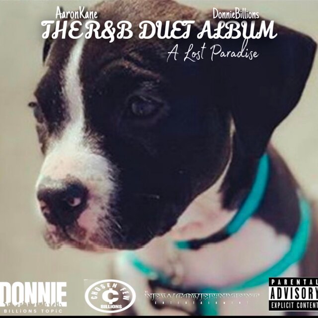 R&B RAP DUET ALBUM (A Lost Paradise)