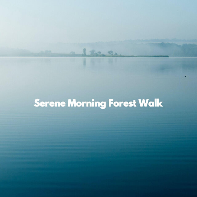 Serene Morning Forest Walk