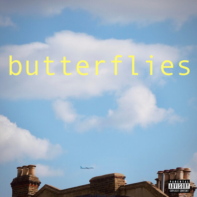 Butterflies
