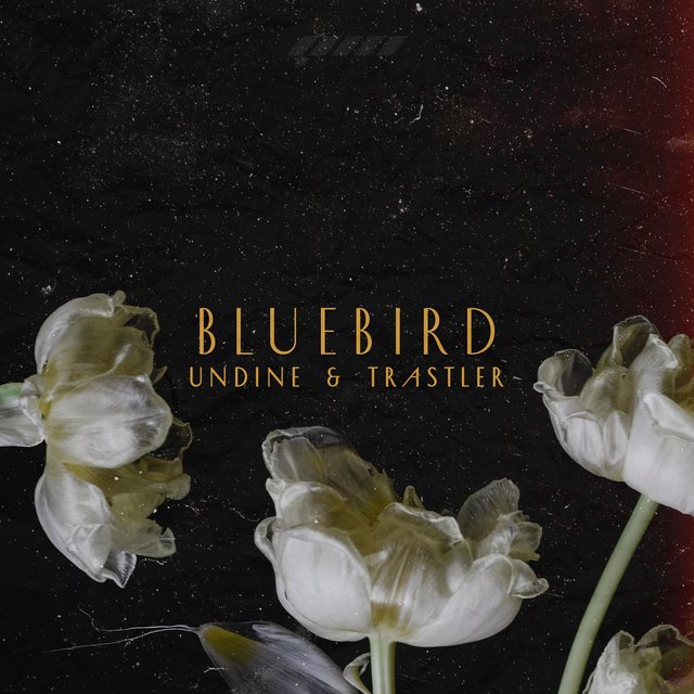 Bluebird