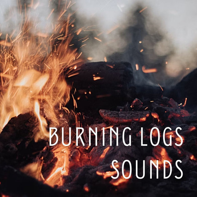 Burning Logs Sounds - 3 hours