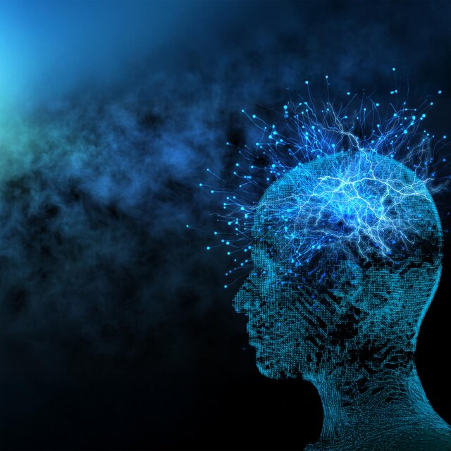 PTSD Nervous System Reset