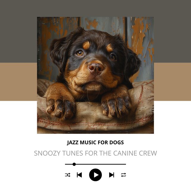 Snoozy Tunes for the Canine Crew