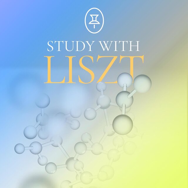 Study with Liszt