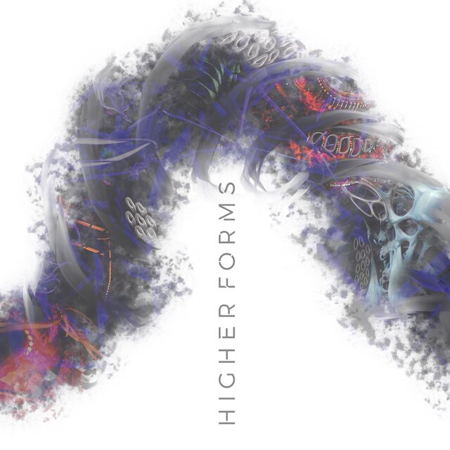 Higher Forms
