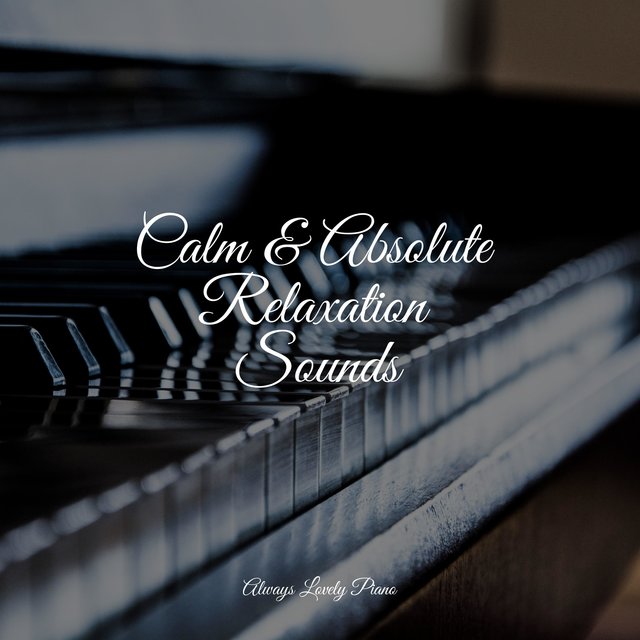 Absolute Relax Calm & Absolute Relaxation Sounds by Calming Piano, Chill Out Music ...