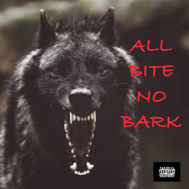 ALL BITE NO BARK