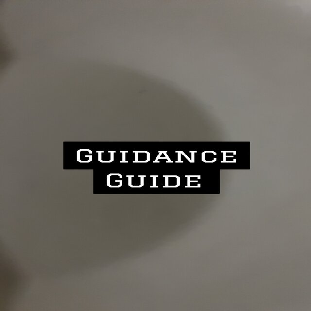 Guidance 