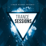 Madness (LekSin Remix)