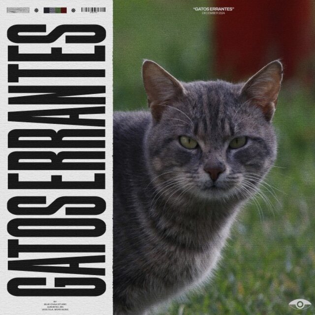 Gatos Errantes