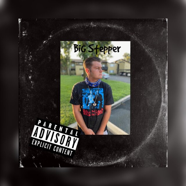 BiG Stepper