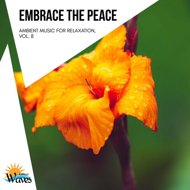 Embrace the Peace - Ambient Music for Relaxation, Vol. 8