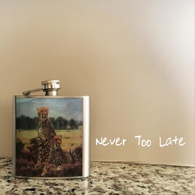 Never Too Late