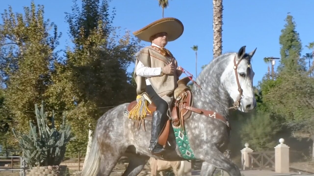 El Alazan Y El Rocio