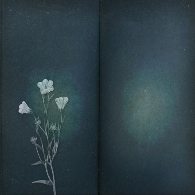 Please Forget Me