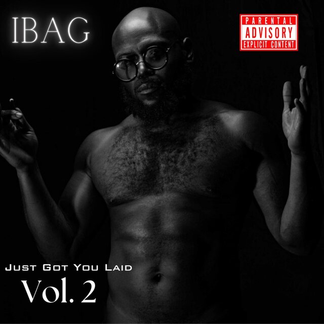 Just Got You Laid: Volume 2