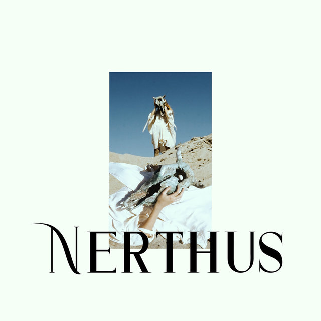Nerthus
