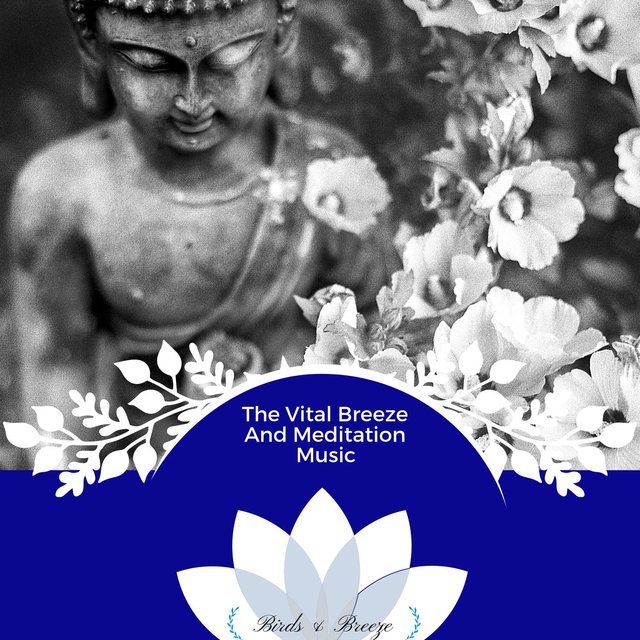 The Vital Breeze And Meditation Music