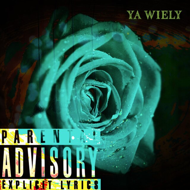 YA WIELY