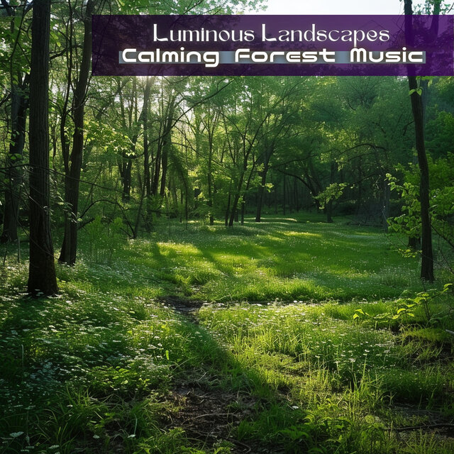 Calming Forest Music