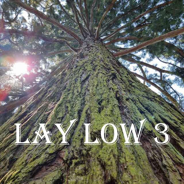 Lay Low 3
