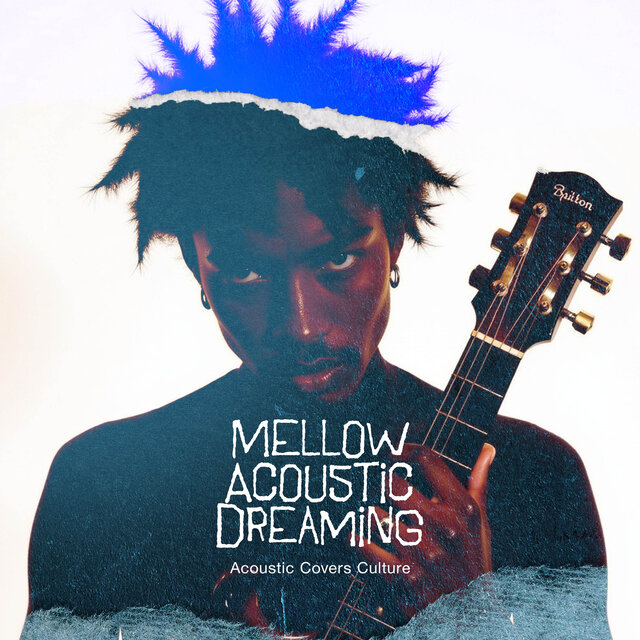 Mellow Acoustic Dreaming