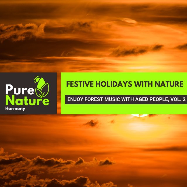 Festive Holidays with Nature - Enjoy Forest Music with Aged People, Vol. 2