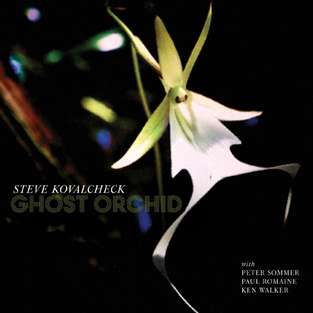 Cover art for album Ghost Orchid by Steve Kovalcheck