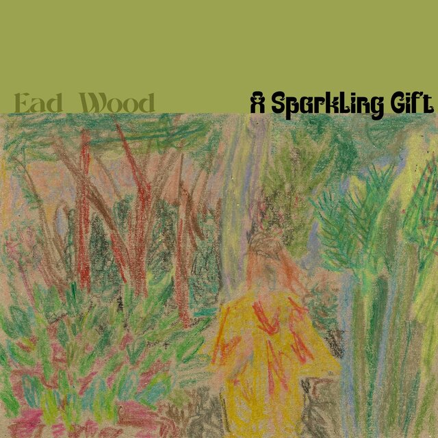 A Sparkling Gift