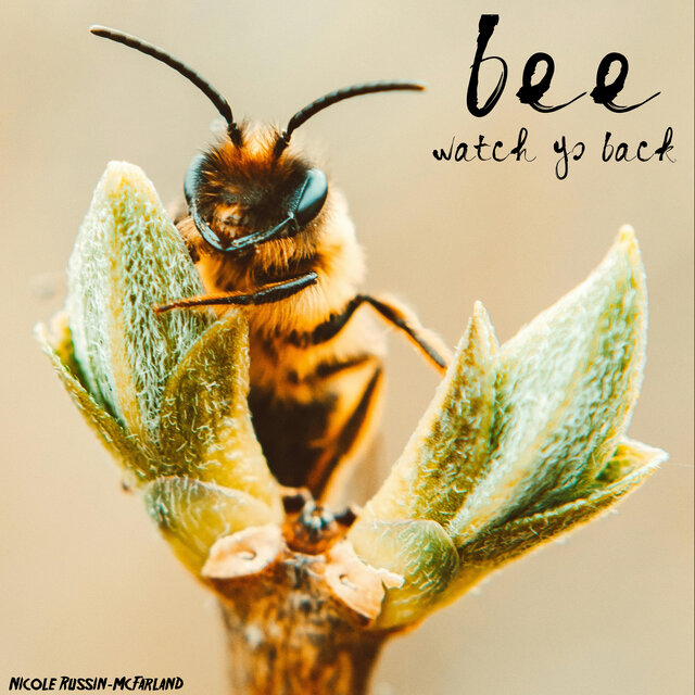 Bee Watch Yo Back