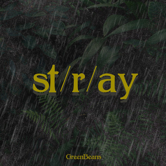 St / R / Ay