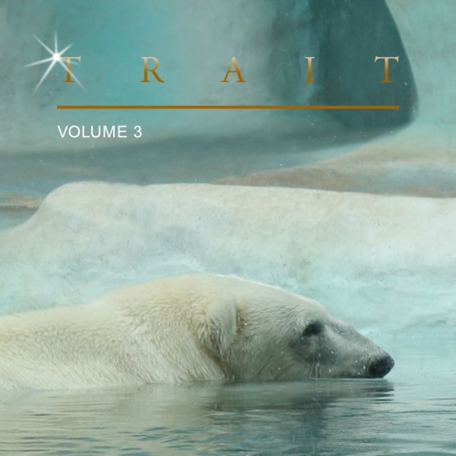 Trait, Vol. 3