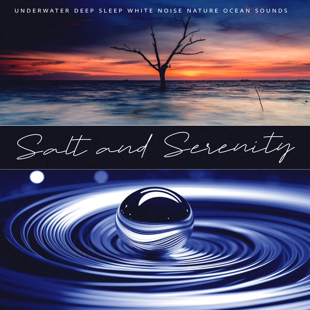 Salt and Serenity