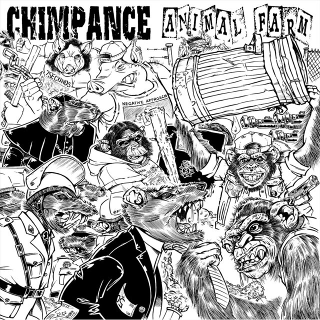 Chimpancé