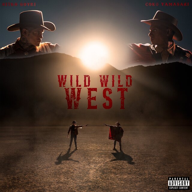 Wild Wild West