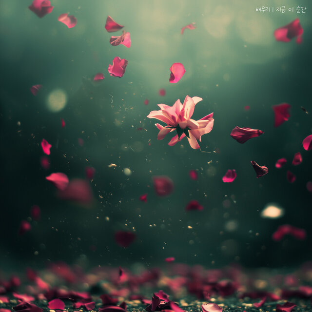 지금 이 순간 (At This Moment)