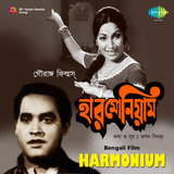Harmonium (Dhoon)