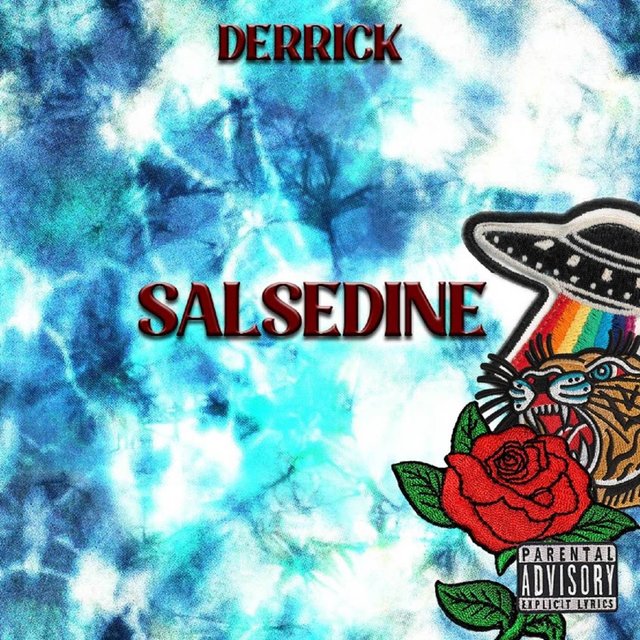 Salsedine
