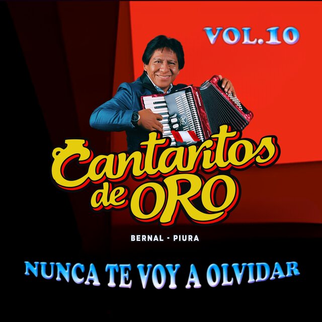 Nunca Te Voy a Olvidar, Vol. 10