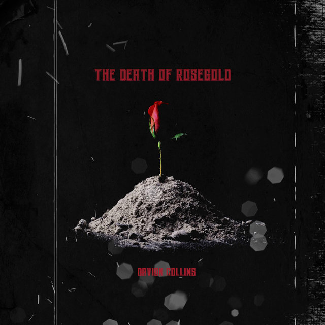 The Death of RoseGold