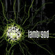 Cover art for album Into Oblivion by Lamb of God