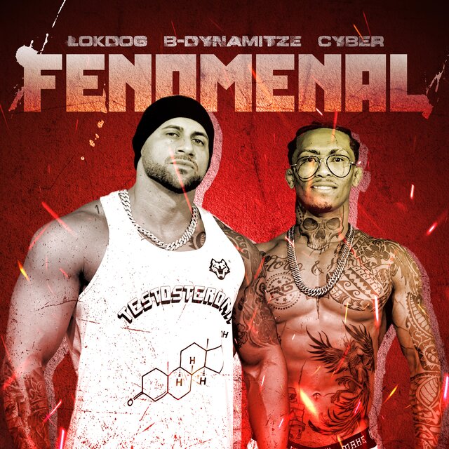Fenomenal